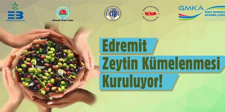 edremit-zeytin-kumelenmesi-basliyor